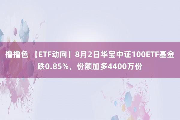 撸撸色 【ETF动向】8月2日华宝中证100ETF基金跌0.85%，份额加多4400万份