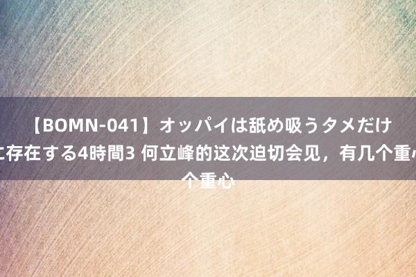 【BOMN-041】オッパイは舐め吸うタメだけに存在する4時間3 何立峰的这次迫切会见，有几个重心