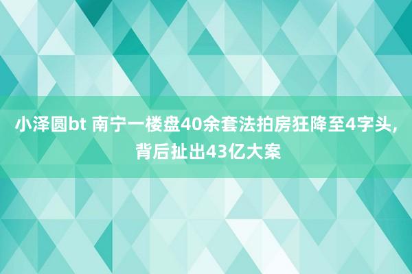 小泽圆bt 南宁一楼盘40余套法拍房狂降至4字头, 背后扯出43亿大案