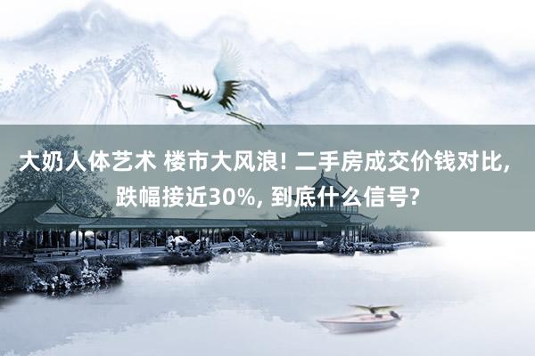 大奶人体艺术 楼市大风浪! 二手房成交价钱对比, 跌幅接近30%, 到底什么信号?