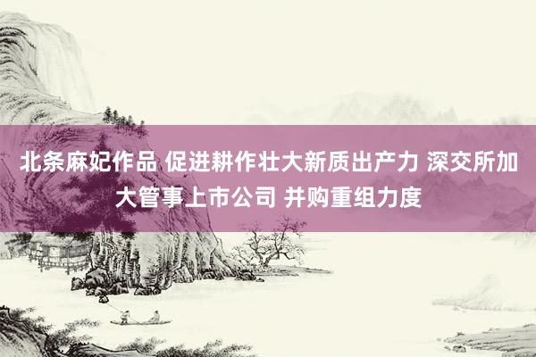 北条麻妃作品 促进耕作壮大新质出产力 深交所加大管事上市公司 并购重组力度