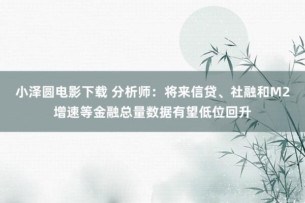 小泽圆电影下载 分析师：将来信贷、社融和M2增速等金融总量数据有望低位回升