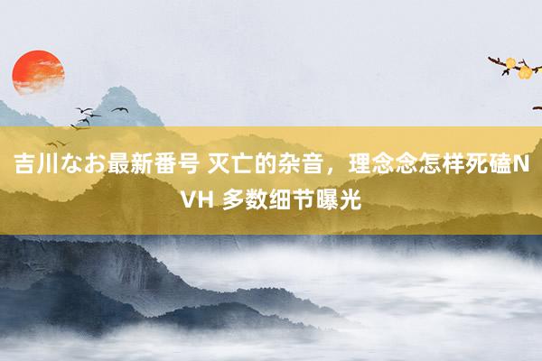 吉川なお最新番号 灭亡的杂音，理念念怎样死磕NVH 多数细节曝光