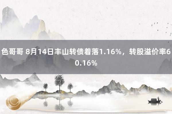 色哥哥 8月14日丰山转债着落1.16%，转股溢价率60.16%