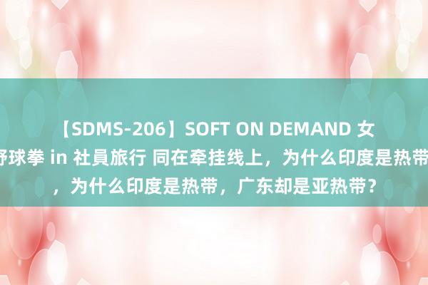 【SDMS-206】SOFT ON DEMAND 女子社員スペシャル野球拳 in 社員旅行 同在牵挂线上，为什么印度是热带，广东却是亚热带？