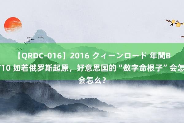 【QRDC-016】2016 クィーンロード 年間BEST10 如若俄罗斯起原，好意思国的“数字命根子”会怎么？