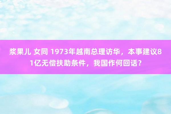 浆果儿 女同 1973年越南总理访华，本事建议81亿无偿扶助条件，我国作何回话？