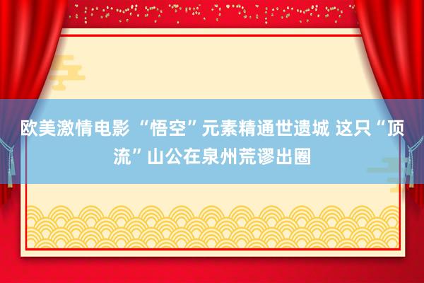 欧美激情电影 “悟空”元素精通世遗城 这只“顶流”山公在泉州荒谬出圈