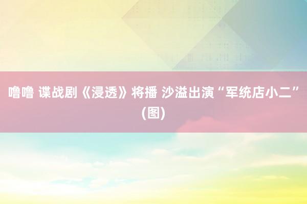 噜噜 谍战剧《浸透》将播 沙溢出演“军统店小二”(图)